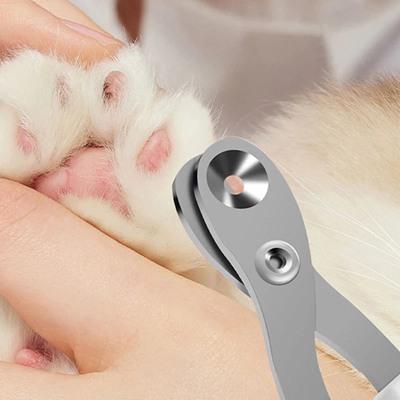 Pet nail clipper being used on a small animal's paw