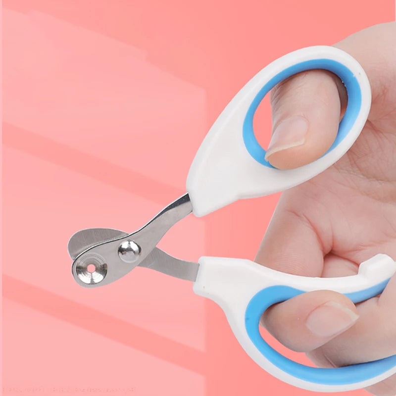 Hand holding a pair of white and blue pet nail clippers against a pink background