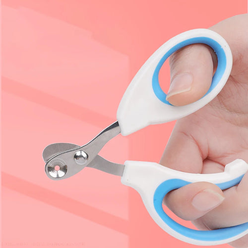 Hand holding a pair of white and blue pet nail clippers against a pink background