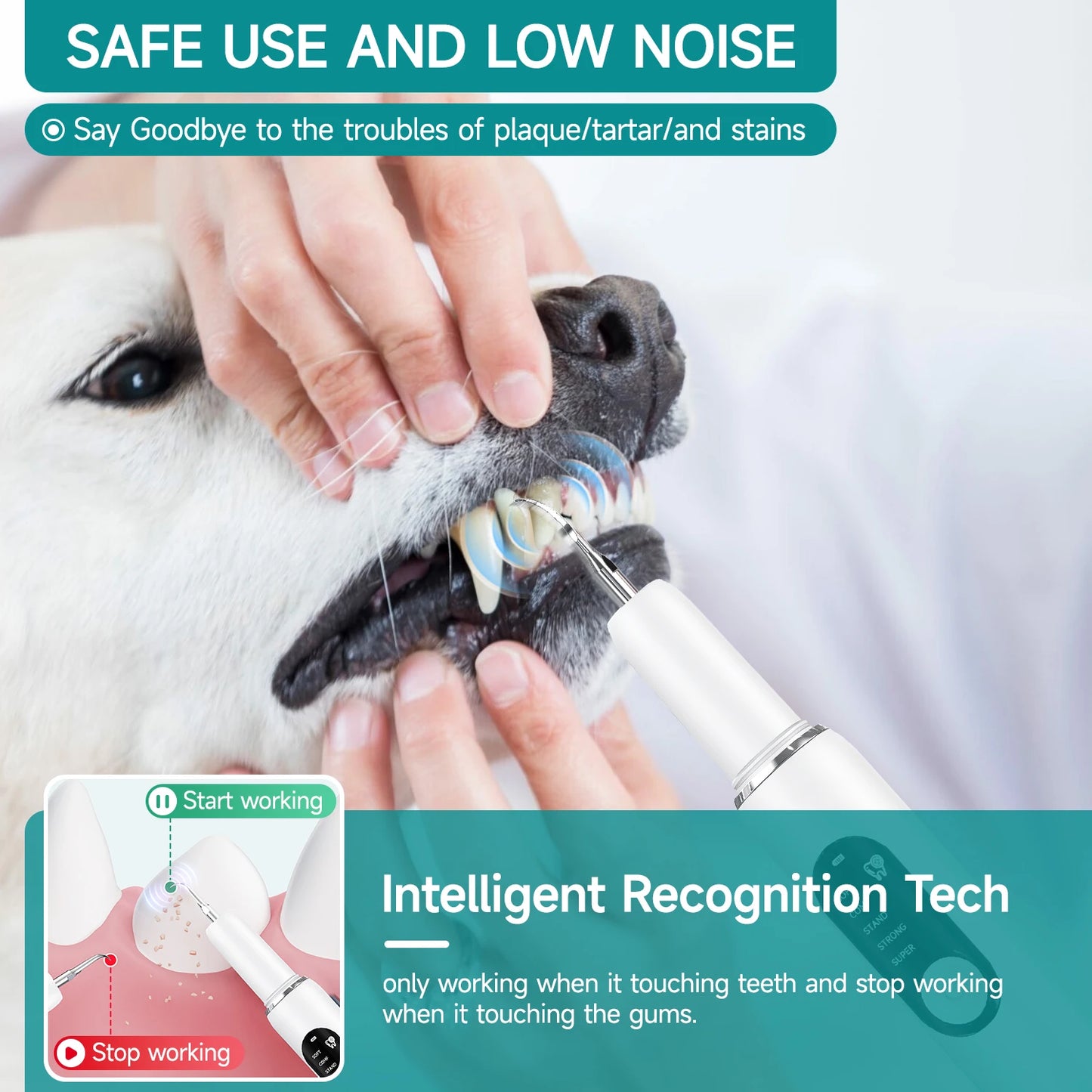 Ultrasonic Pet Dental Scaler with LED Light & 5 Cleaning Modes — USB-C Rechargeable Tartar Remover for Dogs & Cats