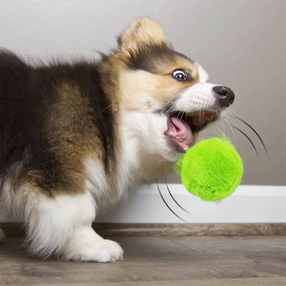 Magic Rolling Ball Activation Automatic Scroll Electric Dog Cat Toy With 4 Color Plush Cover Cleaning Home Dust Cleaner