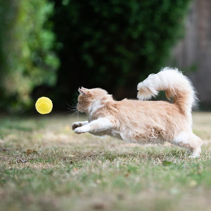 Magic Rolling Ball Activation Automatic Scroll Electric Dog Cat Toy With 4 Color Plush Cover Cleaning Home Dust Cleaner