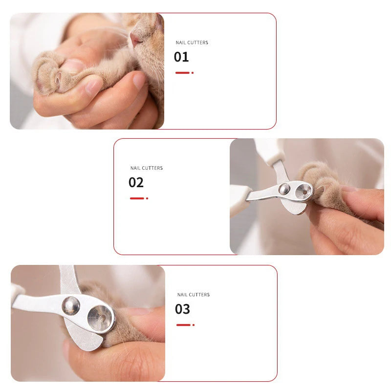 Step-by-step process of using pet nail clippers on a cat's paw.