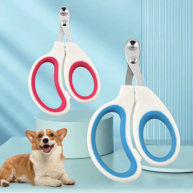 Pair of pet nail clippers with red and blue handles on a light blue background, accompanied by a small dog.